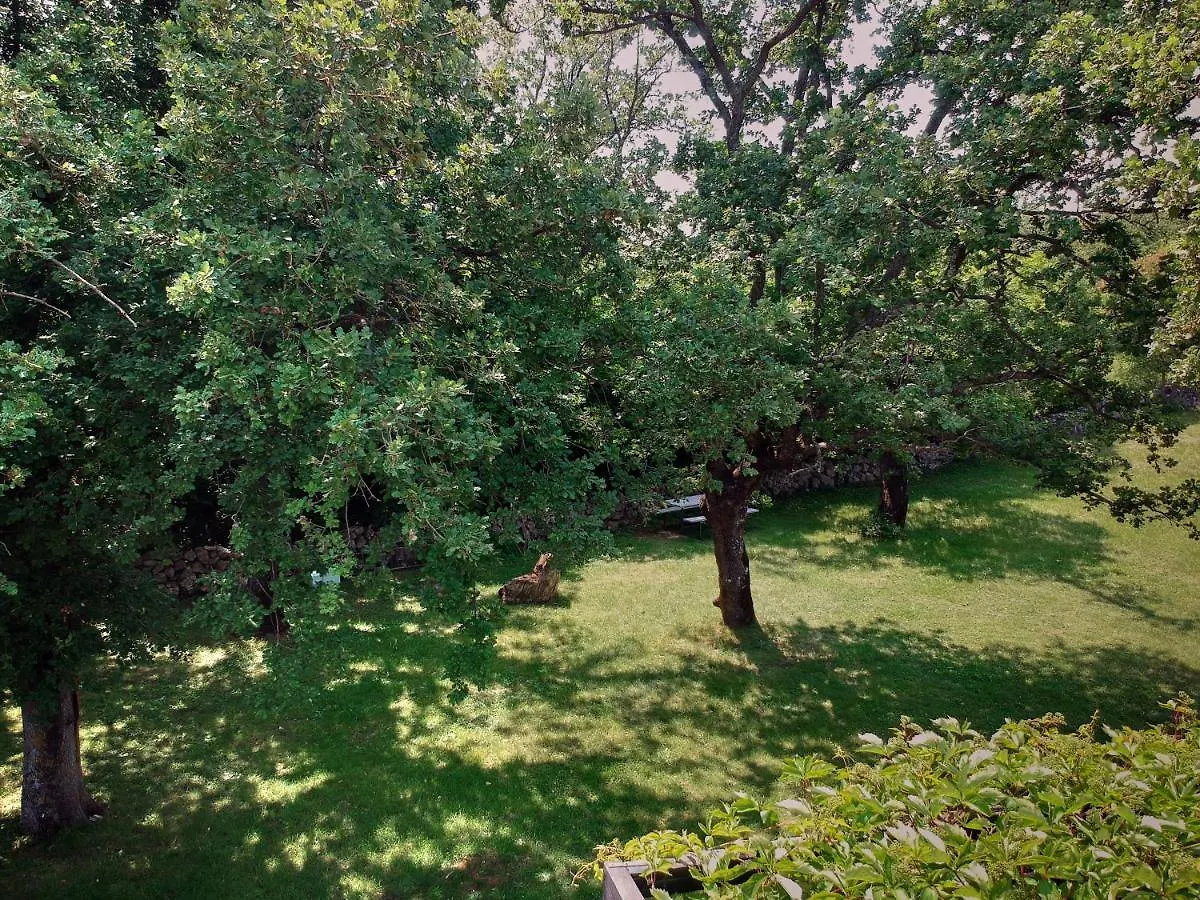 Tatil Evi Holiday House Garica